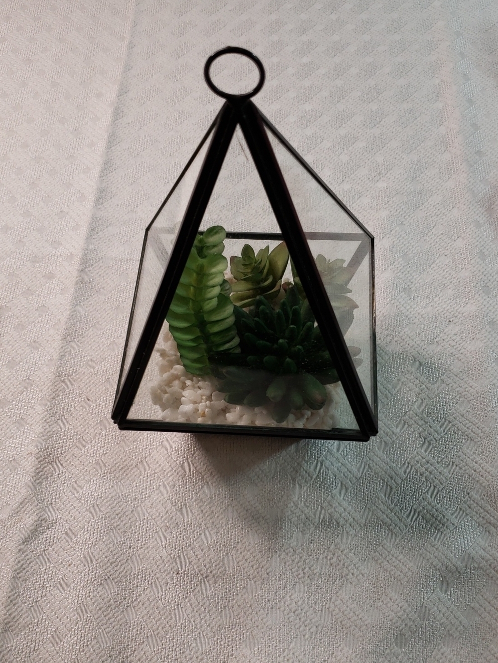 Source Unknown Black Pyramid Glass Terrarium with Green Faux Succulents